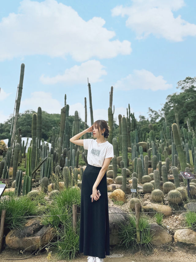 【大自然之旅】仙湖植物園：適合現在前往！