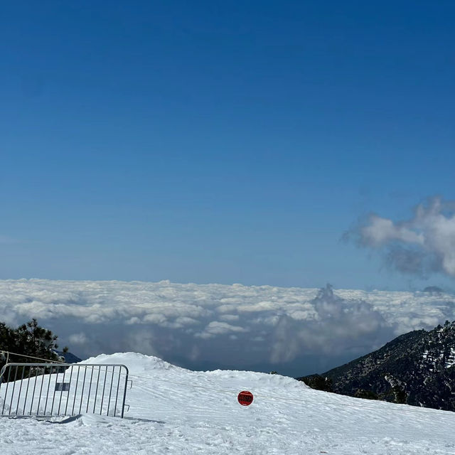 札幌國際滑雪場🎿頂級滑雪勝地～滑雪愛好者必到