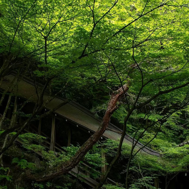 「增上寺：東京歷史寺廟，不容錯過！」