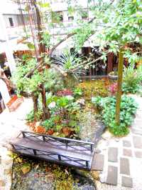 Hidden Garden Oasis with Koi Fish