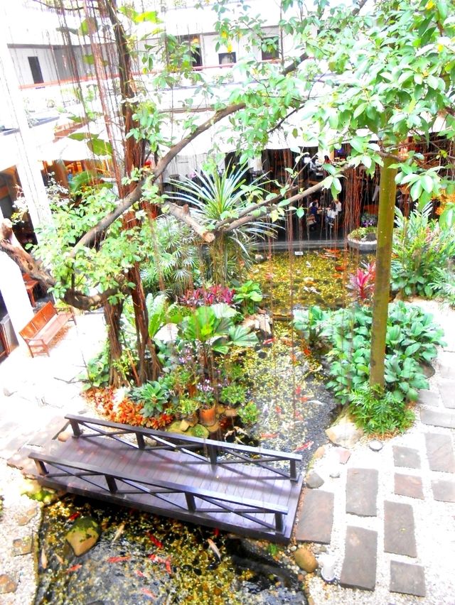 Hidden Garden Oasis with Koi Fish