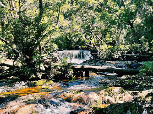 The Halls Falls