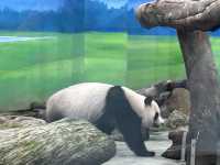 臺北市立動物園 Taipei Zoo