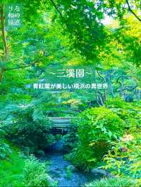〜神奈川県〜初夏を感じる都会の癒しスポット