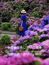 圧巻の紫陽花グラデ💠一度は行きたい愛知のあじさい名所☺️💠
