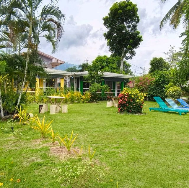 Budget Friendly Stay, Restaurant and Tours
