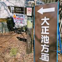 必訪日本阿爾卑斯山美景〔大正池〕