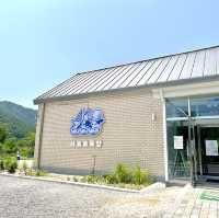 산정호수 근처 시원한 수제아이스크림 카페 추천🩵