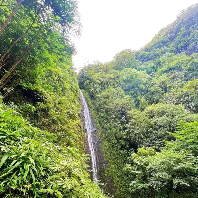 🌊 Visit Manoa Falls