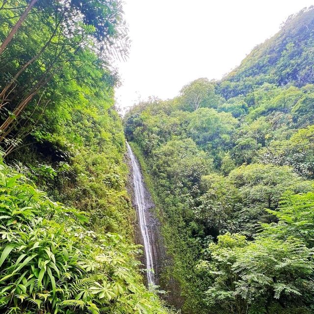 🌊 Visit Manoa Falls