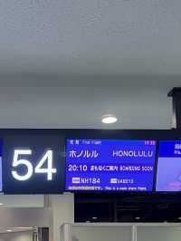 【ハワイ】成田→ホノルル　ANAのFLYING HONUでハワイに行ってきました