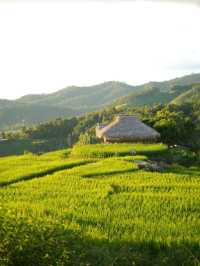 ป่าบงเปียง - นาขั้นบันไดวิว 360 องศา
