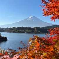 Serenity by Oishi Park Lake Kawaguchiko