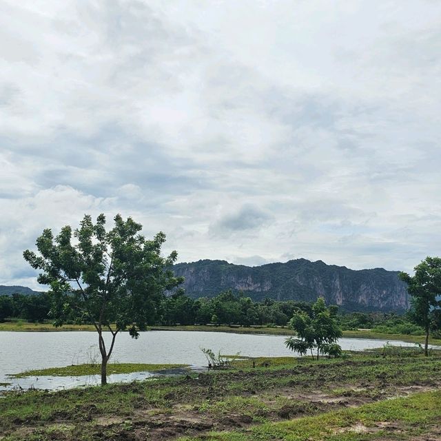 จุดชมวิวหนองสมอ
