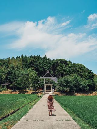 【島根】稻田中央矗立的絕景神社！