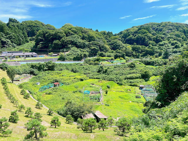 【京都】海の透明度抜群！どこか懐かしい伊根の舟屋