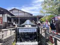 富士山の湧水でできた忍野八海@山梨県🦢