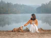 ป่าสนวัดจันทร์ 