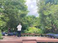 เที่ยวขอพรโชคลาภม่อนพญานาคราช เชียงใหม่ 