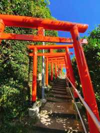 【愛知県 南知多】秘密にしておきたい❣️海の見える🏖絶景神社⛩
