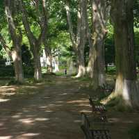 「娜麗公園：綠意盎然、錦鯉池美麗景緻，享受天然氧吧」