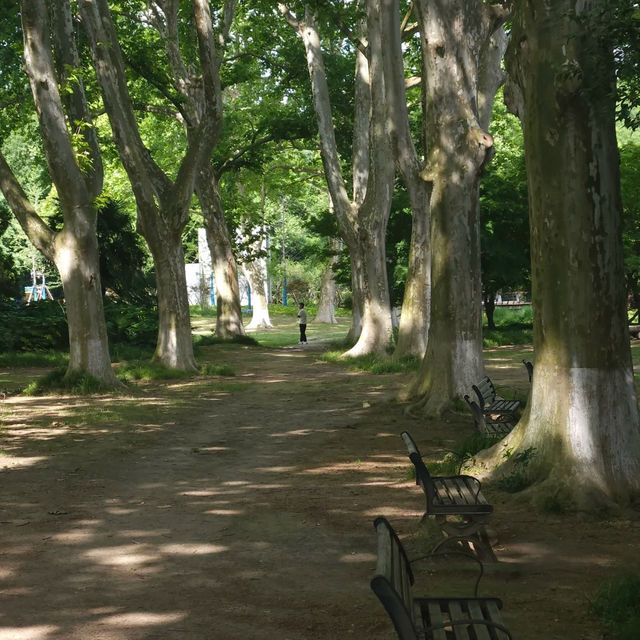 「娜麗公園：綠意盎然、錦鯉池美麗景緻，享受天然氧吧」