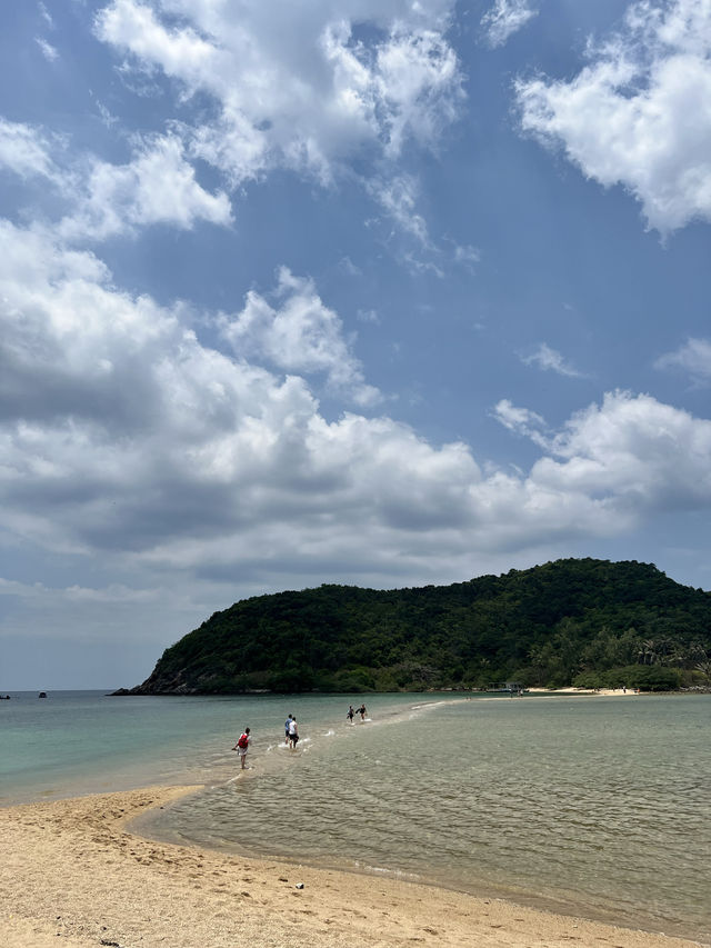 เกาะม้า บีช รีสอร์ท เกาะพะงัน