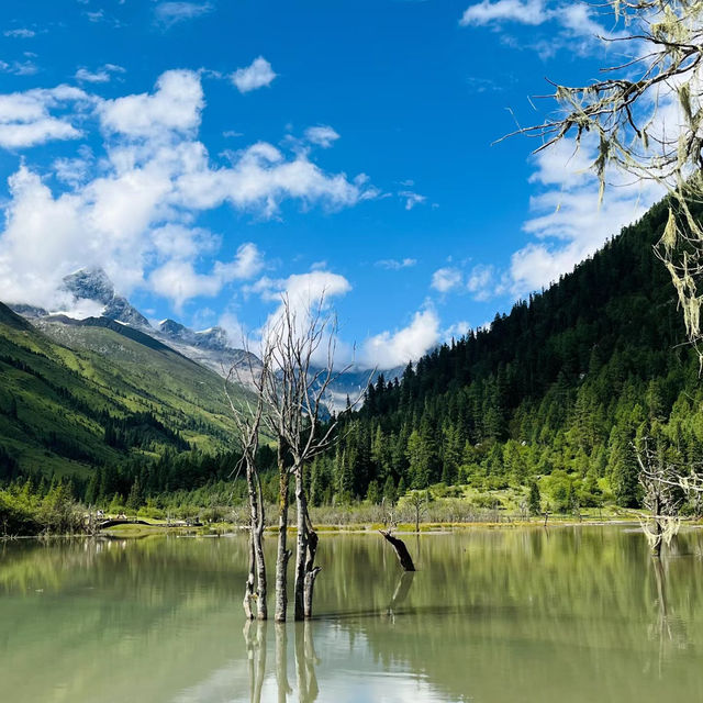 樽前山：人間仙境般的美景～心靈平靜安怡