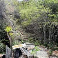 หาดลูกลม เกาะแสมสาร…