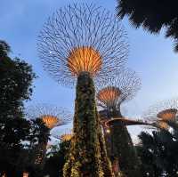 Singapore - The Lion City