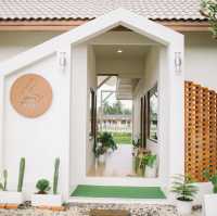 The roots house คาเฟ่น้องต่าย