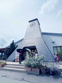 【河口湖】大石公園：薰衣草花海，富士山河口湖美景