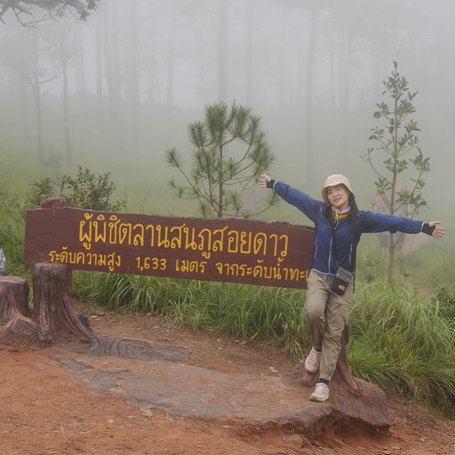 ภูสอยดาว - พิชิตลานสน ชมดอกหงอนนาค