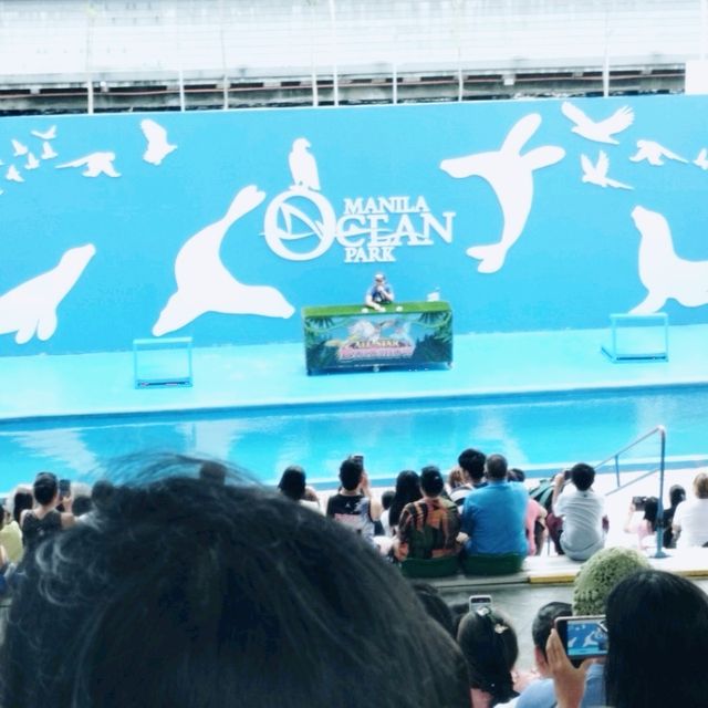 ocean park with my love
