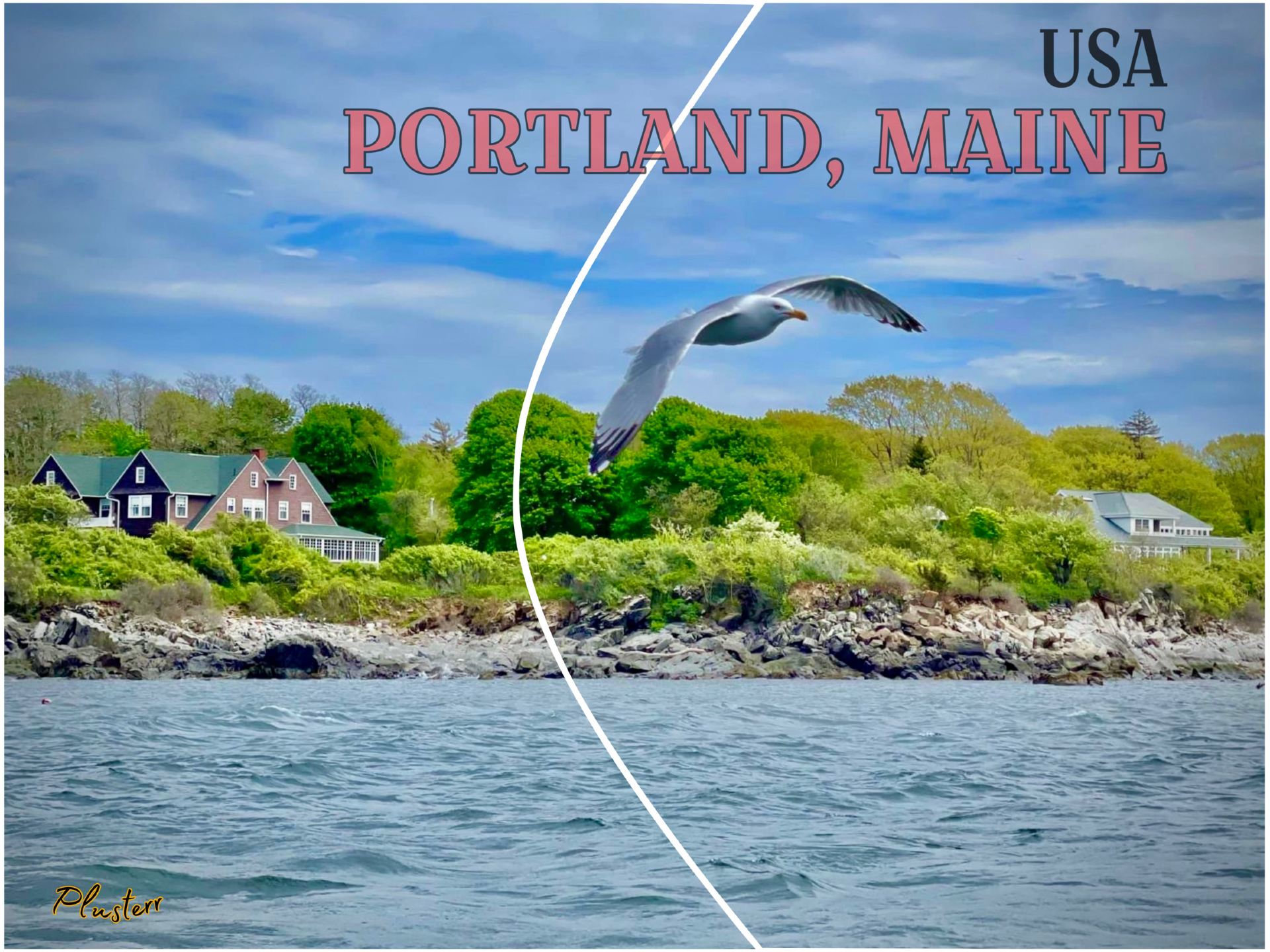 Invite everyone to go bird watching and fishing in a famous seaside town in the USA.
