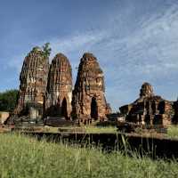 Divine Encounter: The Sacred Buddha Head Entwined in Banyan Roots