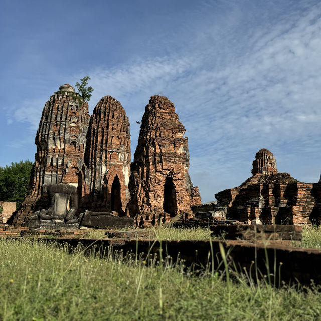 Divine Encounter: The Sacred Buddha Head Entwined in Banyan Roots