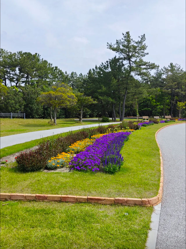 海之中道海濱公園 