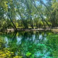 Jacks Lake：湖光山色淨土，享受大自然之美