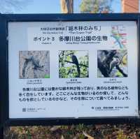 【多摩川】多摩川台公園 - 見所満載の散策コース -