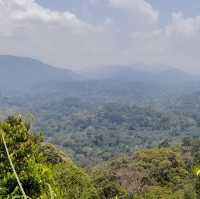 Into the Wild: Uncover the Mysteries of Taman Negara, Pahang