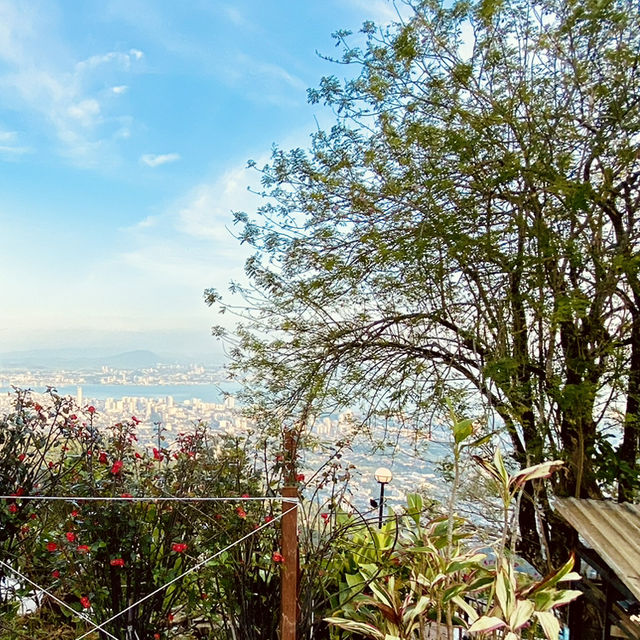 "Captivating Views from Penang Hill: A Scenic Delight"