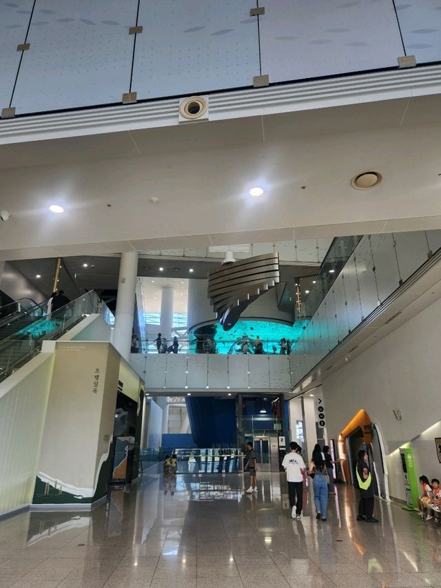 흥민로유 경험 국립해양박물관❤️