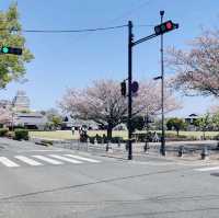 【日本美食文化】星鰻料理、咖啡與姬路城，一場令人難忘的旅程🌸