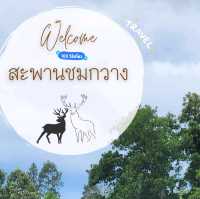 สะพานชมกวางหนองใหญ่ ชุมพร 🦌