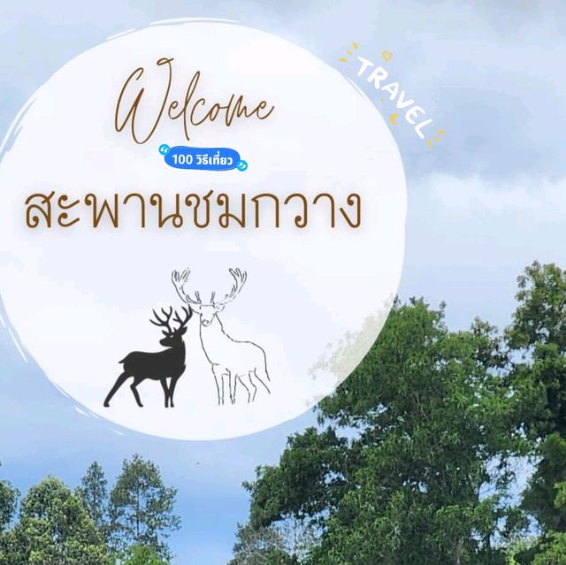 สะพานชมกวางหนองใหญ่ ชุมพร 🦌