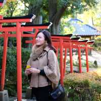 🍁 金澤兼六園:打卡紅葉仙境,感受江戶風情