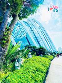 🇸🇬 Must come to Cloud Forest