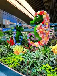 A Journey Through Changi Airport