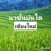 เขียวขจีทั้งเฟรม
